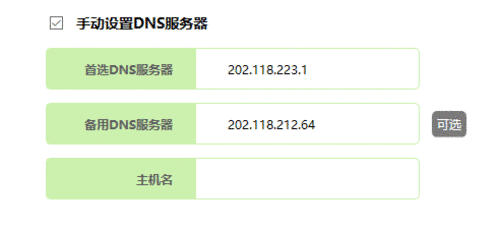 ·DNS